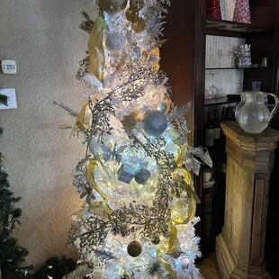 My favorite of the many trees!