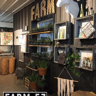 Seasonal flowers and produce. Succulents and unique planters.