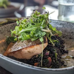 Arctic char