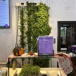 a variety of vegetables on display