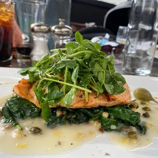 GRILLED SCOTTISH SALMON