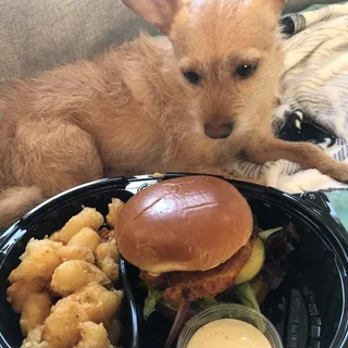 Fried Chicken Sandwich