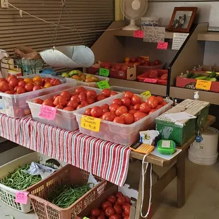 My favorite place for summer tomatoes!