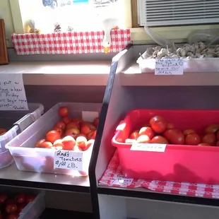 Tomatoes for $1 a pound