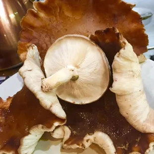 Homegrown Shitakki mushrooms