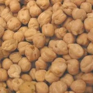 garbanzo b.