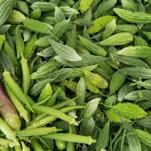 Table full of peppers, eggplant, bitter melon, and long beans.