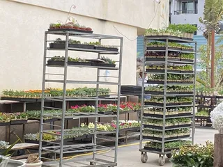 Huntington Beach Farmers' Market