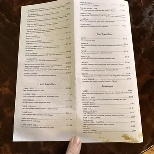 a hand holding a menu