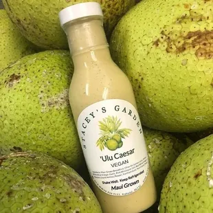 Ulu Caesar - Stacy's Garden