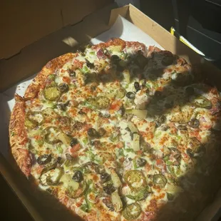 vegetarian pizza