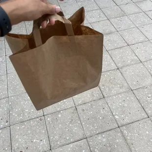 a person holding a brown paper bag