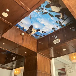 a cat sitting on the ceiling of a house