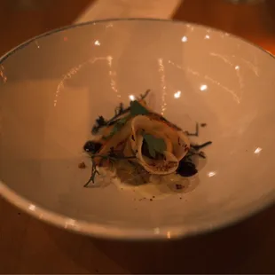 oysters and mussels, food