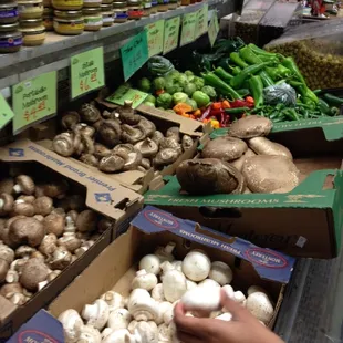 Great Mushroom &amp; Olive selection!