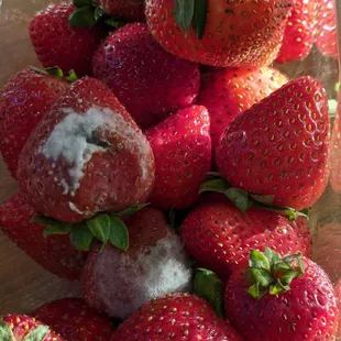 I bought these 2 days ago. That&apos;s $8 in the compost.