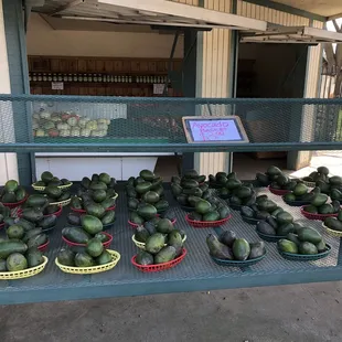 a display of avocados