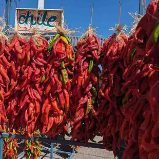 2 foot long Hatch red chile ristras in front of chile sign at Farmers Chile Market