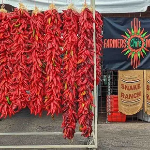 4 and 5 ft red chile ristras at Farmers Chile Market in Albuquerque