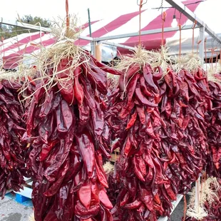 dried chilis hanging from hooks