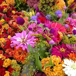 Fall Flowers.  Seedsprinting.com. Image