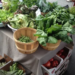 Mott Farm Greens. Seedsprinting.com.  Image