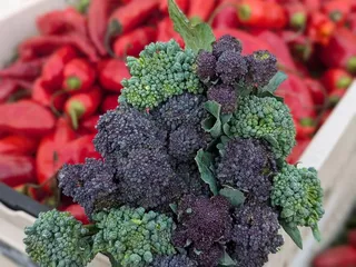 Bloomfield Saturday Market