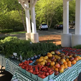 Fresh Roma, Heirloom, and cherry tomatoes. 
A variety of starter herbs and vegetable plants for gardens.