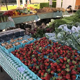 Local Strawberries, shitaki mushrooms, blueberries, organic mixed greens, baby kale  , spinach, beats and celery