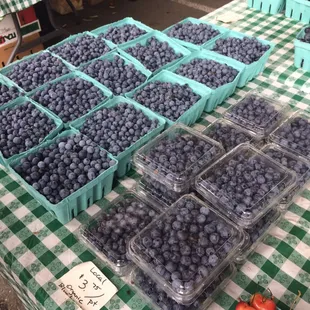 Organic blueberries