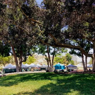 Beautiful day... Enjoying our farmers market!