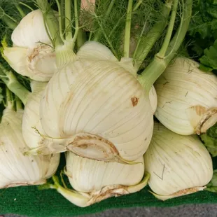 I'm the douche bag...  (Duke)