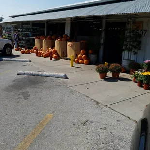 Its worth the drive....