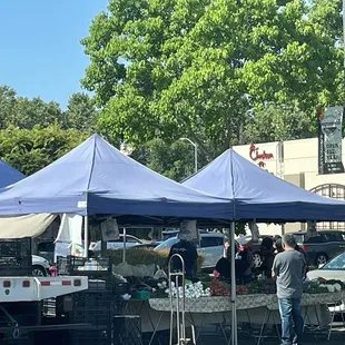 Farmers Market