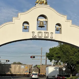 Photo must! Lodi arch with train!