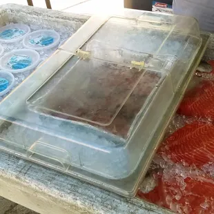Organically farmed fish! Try the smoked salmon!  Photo Credit:  AreYouThatWoman.com