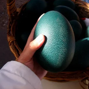 beautiful green emu egg