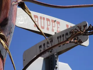 Bisbee Farmer's Market
