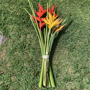 Freshly cut tropical flowers