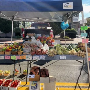 a woman standing in front of a tent