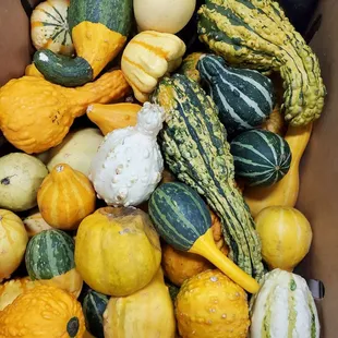a box full of squash and gourds