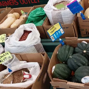 Variety of squash and dried beans