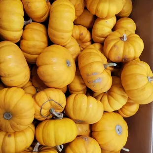 a box full of pumpkins