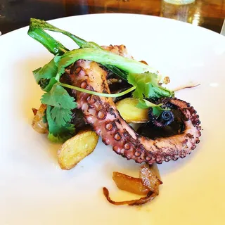 Grilled Octopus