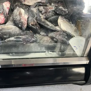 Mojarra as are or can be fried and seasoned