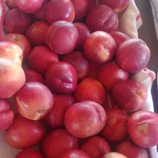 Nectarines