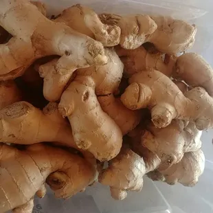 Ginger