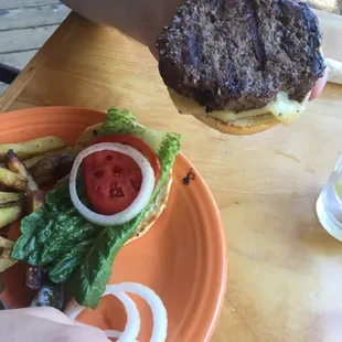 Bison Burger