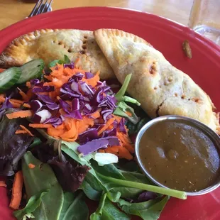 Picadillo Bison Empanadas