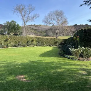 Garden view.